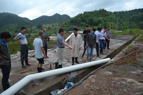 鄧義楨：公司總經理顏建議到龍巖分公司視察防汛抗災情況4.jpg