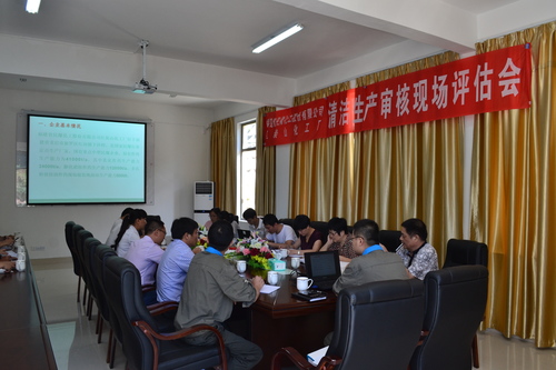 海峽科化龍巖分公司清潔生產審核順利通過現場評估,圖為清潔生產審核報告評估會現場.鄧義楨攝.jpg