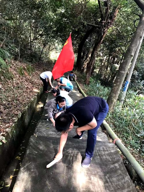 陳宏金：不忘初心 牢記使命，永春分公司組織機關黨員清理上下班臺階的青苔1.jpg