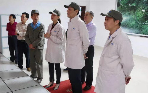 （采用）吳瑤：省工信廳裝備處尹斌處長等一行6人蒞臨龍巖分公司調研指導_調整大小.jpg