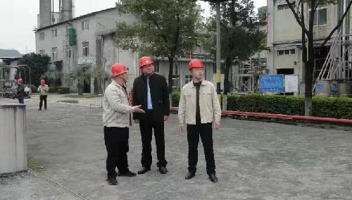 雙華公司許麗珠：安全檢查現場~1.jpg