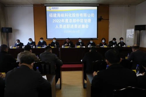 格式工廠海峽科化公司召開2022年度總部中層管理人員述職述責述廉考核�?.jpg