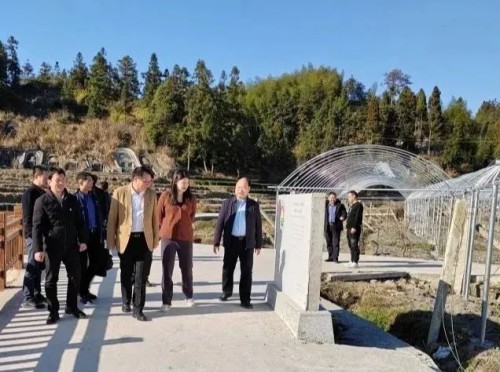 海峽科化公司黨委書記、董事長吳彩洪到福安市城陽鎮仙嶺村調研鄉村振興工作并慰問駐村干部2.jpg