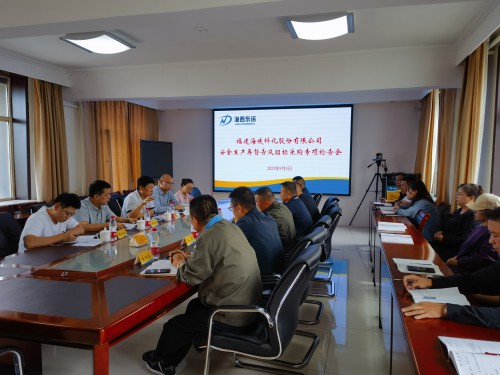格式工廠海峽科化公司紀委書記何浦寨一行到青海海西東諾公司開展安全生產再督查及招標采購專項檢查會現場1.jpg
